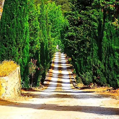 Casa Alta Bed & Breakfast Ronda