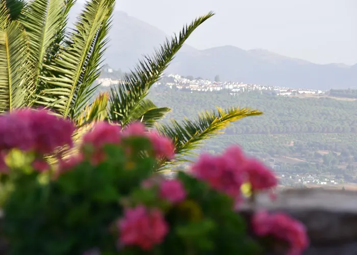 Casa Alta Oda ve Kahvaltı 3*